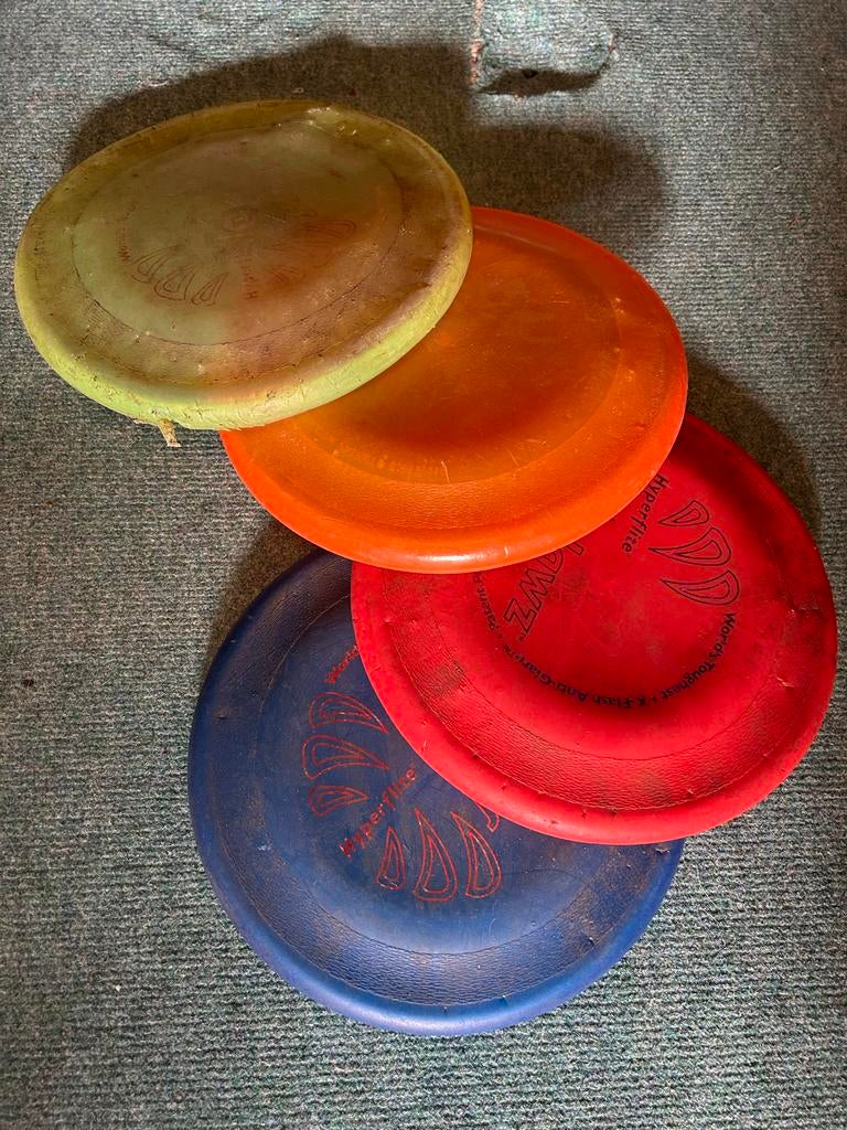 Dog frisbees, Ophalen of Verzenden, Intelligentiespeelgoed