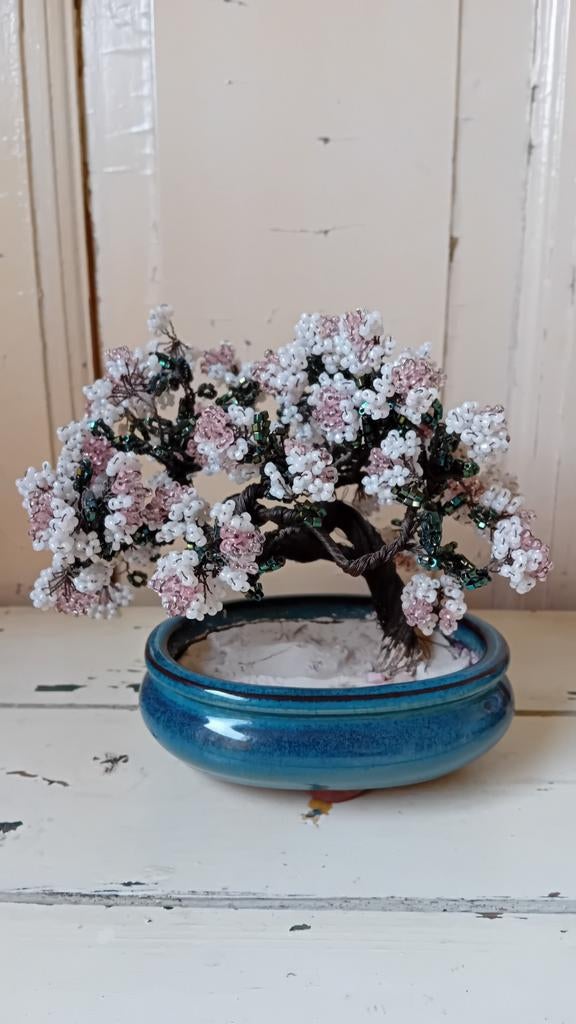 Bonsai Kralenboompje, Verzenden