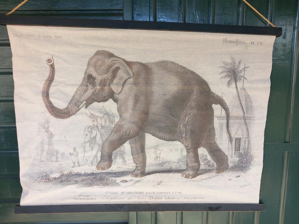 Wanddecoratie doek met olifant - Vintage stijl, Gebruikt, Ophalen of Verzenden, Met ophangsysteem, Meerkleurig