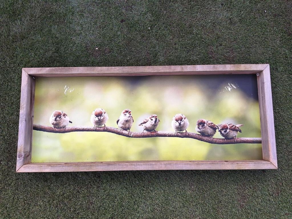 Vogelvoederlijst, Ophalen, Hout, Minder dan 50 cm, Minder dan 50 cm