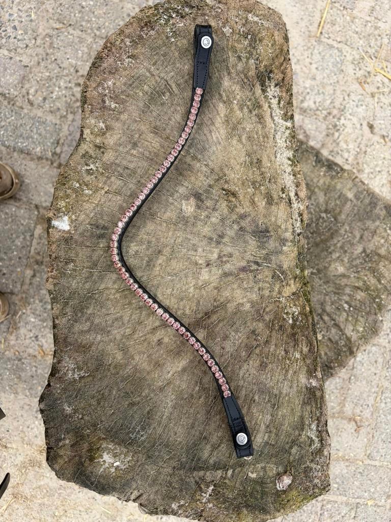 Montar frontriem, Ophalen of Verzenden, Nieuw, Dressuur