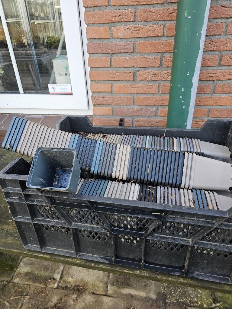 Planten potjes mt 7x7x8, Ophalen, Kunststof, Gebruikt, Minder dan 30 cm