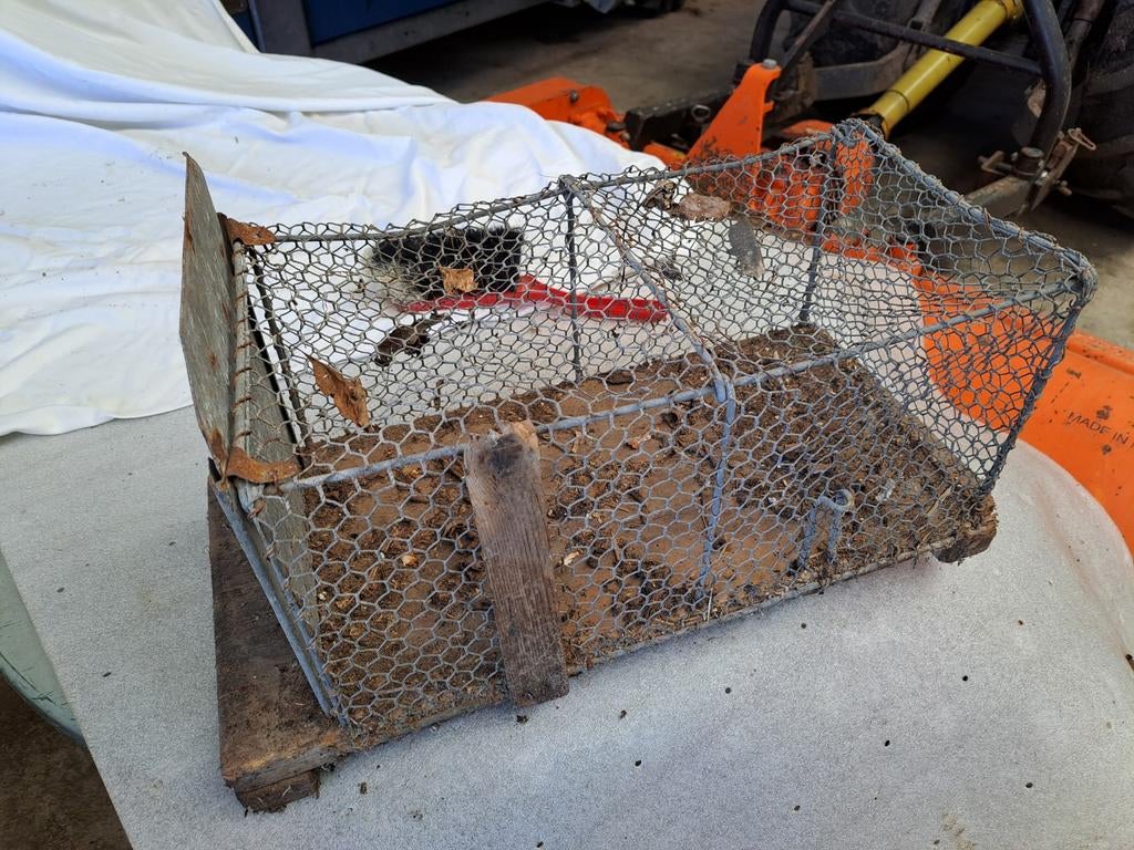 Oude vangkooi, Ophalen of Verzenden