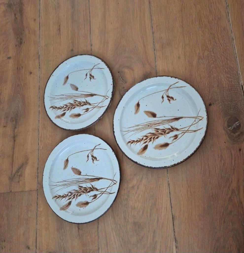 3 Midwinter Stonehenge Wild Oats borden, Ophalen of Verzenden