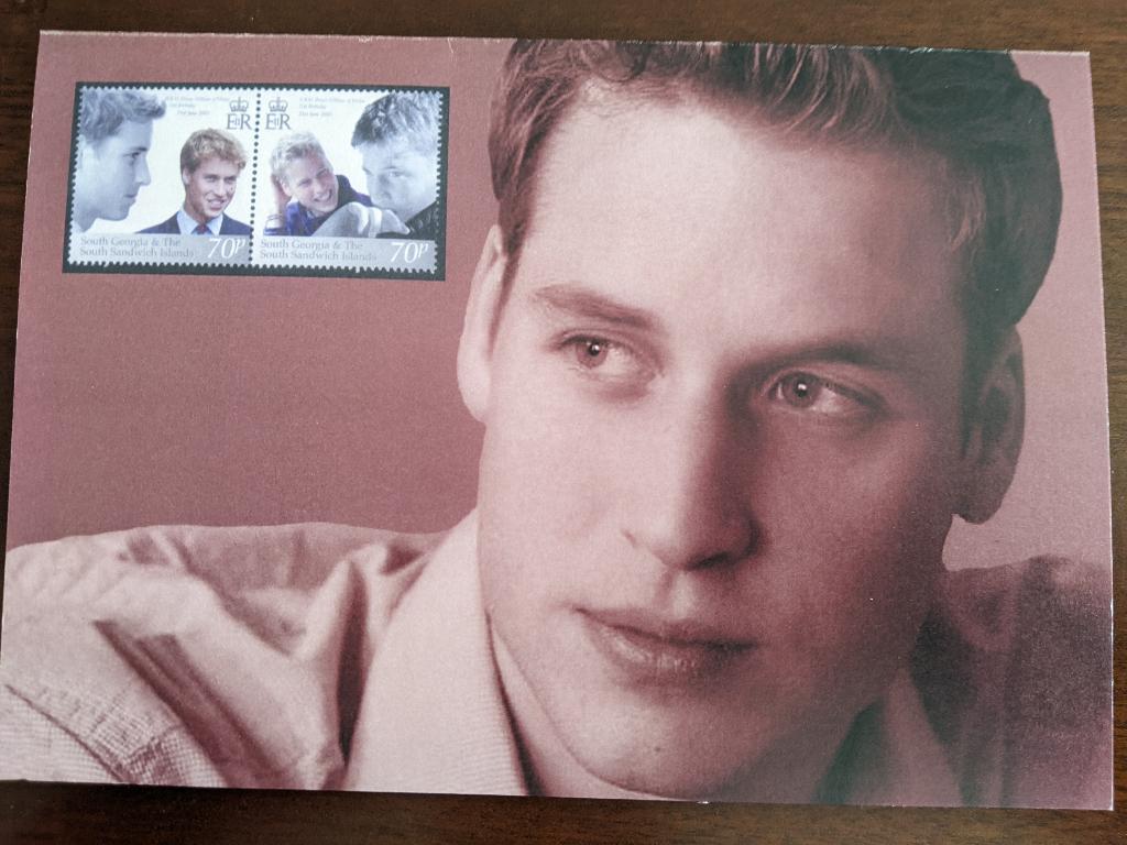 SOUTH GEORGIA & SOUTH SANDWICH ISLANDS; PRINCE WILLIAM, Verzenden, Nieuw, Buitenland, Kaart, Foto of Prent