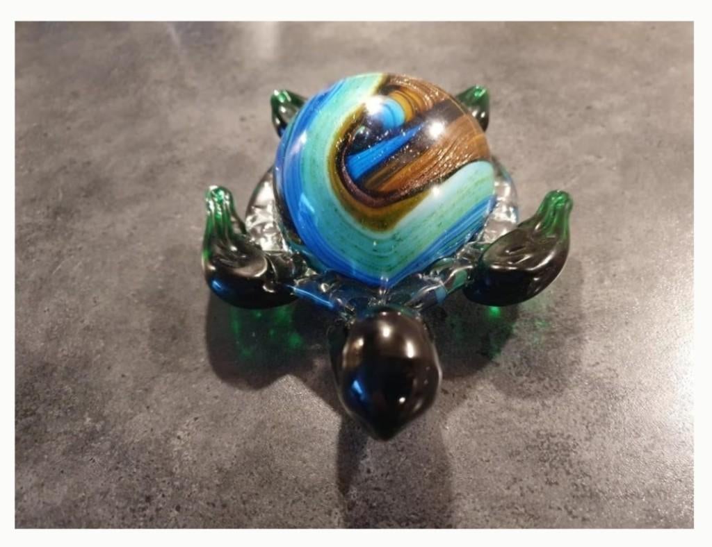 Glazen schildpad, Ophalen of Verzenden, Nieuw, Dier