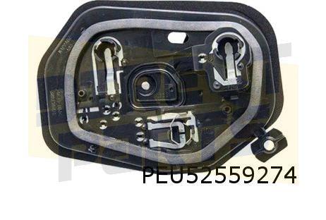 Peugeot 206 (-5/03) Achterlichtfittingplaat Rechts OES! PEU5, Auto-onderdelen, -, Verzenden, -, Nieuw