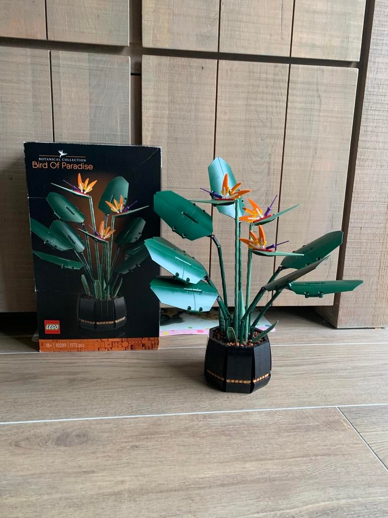 LEGO 10289: Bird Of Paradise (Botanical collection), Kinderen en Baby's, Speelgoed | Duplo en Lego, Zo goed als nieuw, Lego, Complete set
