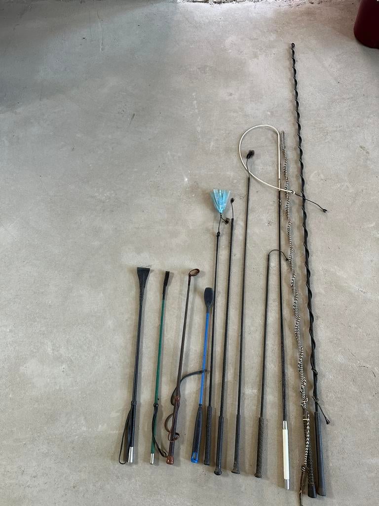 Paardrij zweepjes, Ophalen of Verzenden, Zo goed als nieuw, Overige typen