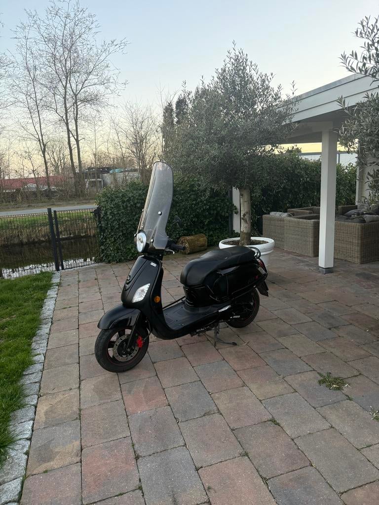 Sym Fiddle 3 mat zwart, lage km, nieuwe accu, schade, Ophalen, Gebruikt, Benzine, Fiddle