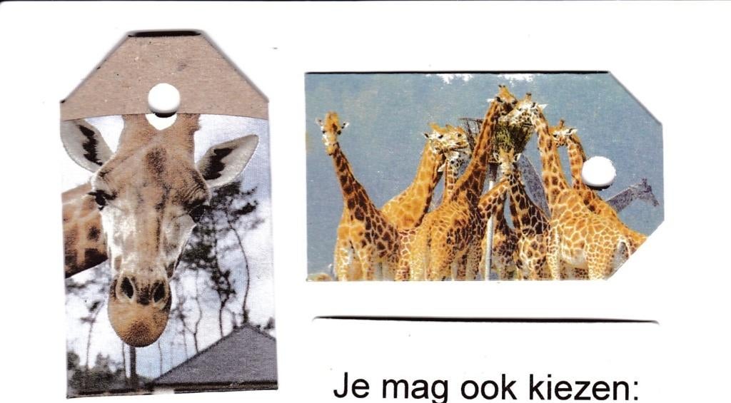 0298) giraffen labeltjes, Verzamelen, Dierenverzamelingen, Ophalen of Verzenden, Zo goed als nieuw, Overige typen