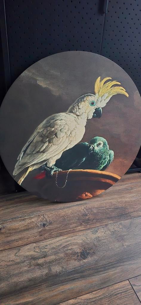 Grijze roodstaart met kaketoe op canvas, Ophalen of Verzenden