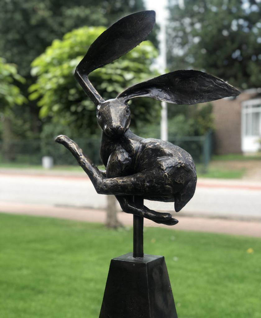 BRONZEN TUINBEELD | GEKKE HAAS XL Bronzenbeelden-winkel, Ophalen of Verzenden, Nieuw, Overige materialen