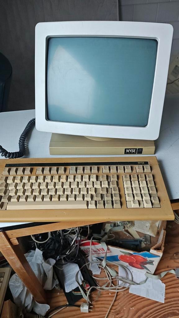 Wyse Monitor en Toetsenbord - Vintage Computer, Computers en Software, Vintage Computers, Ophalen
