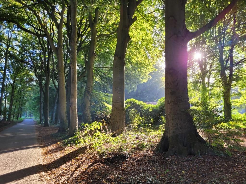 Reisgenoot  gezocht.