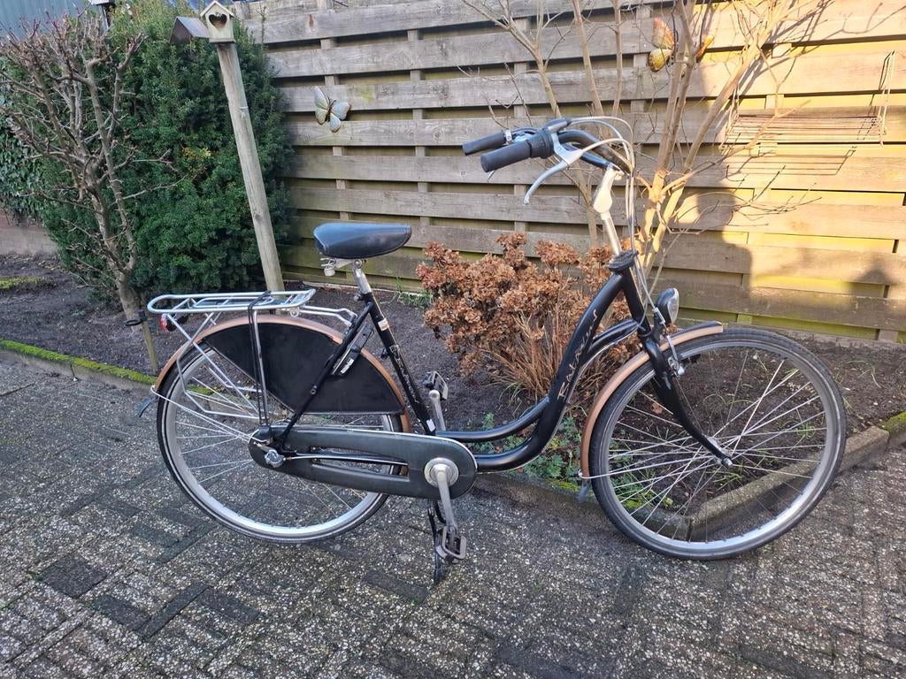 Mooi5e Batavus moederfiets, Fietsen en Brommers, 2 zitjes, 53 tot 56 cm, Batavus, Ophalen of Verzenden