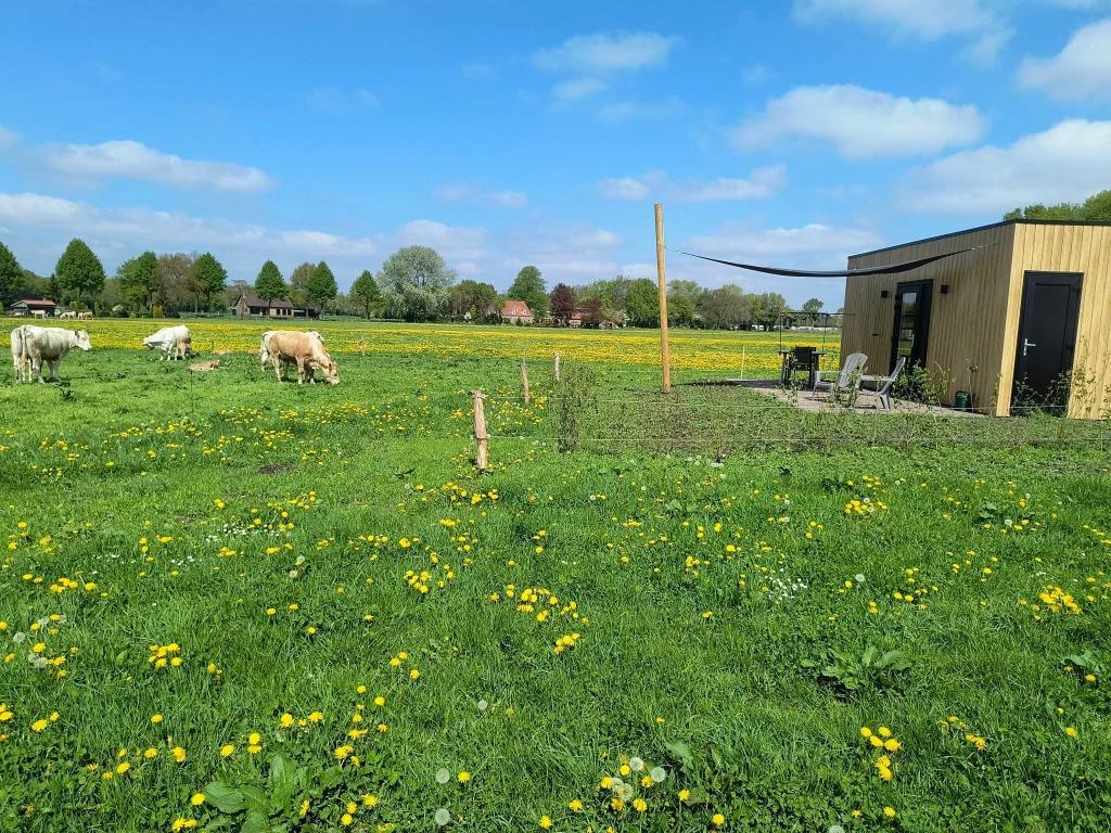 Vakantiehuis / tiny house te huur met adembenemend uitzicht, Noord-Brabant, Overige typen, Internet, Landelijk