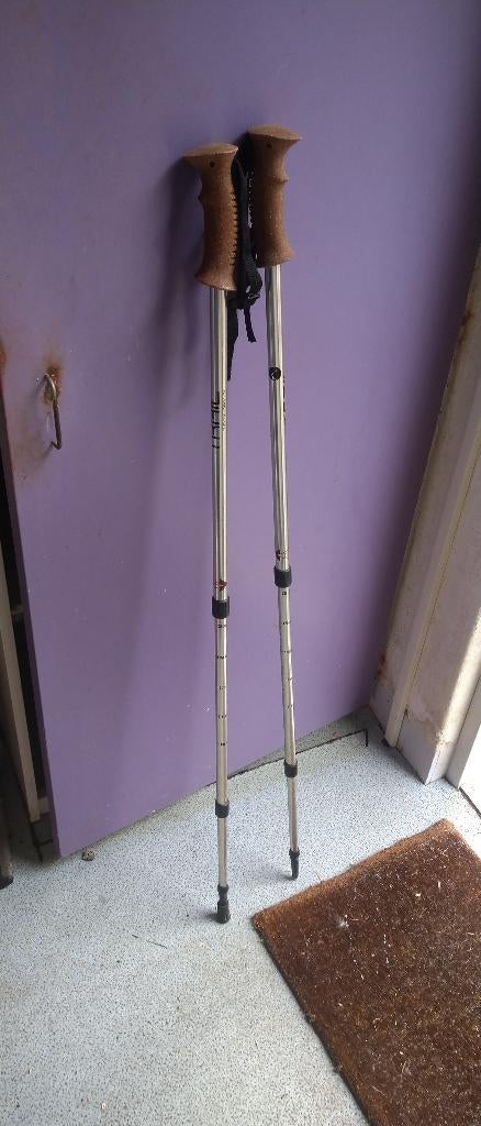 nordic walking, Ophalen of Verzenden, Verstelbaar, Zo goed als nieuw
