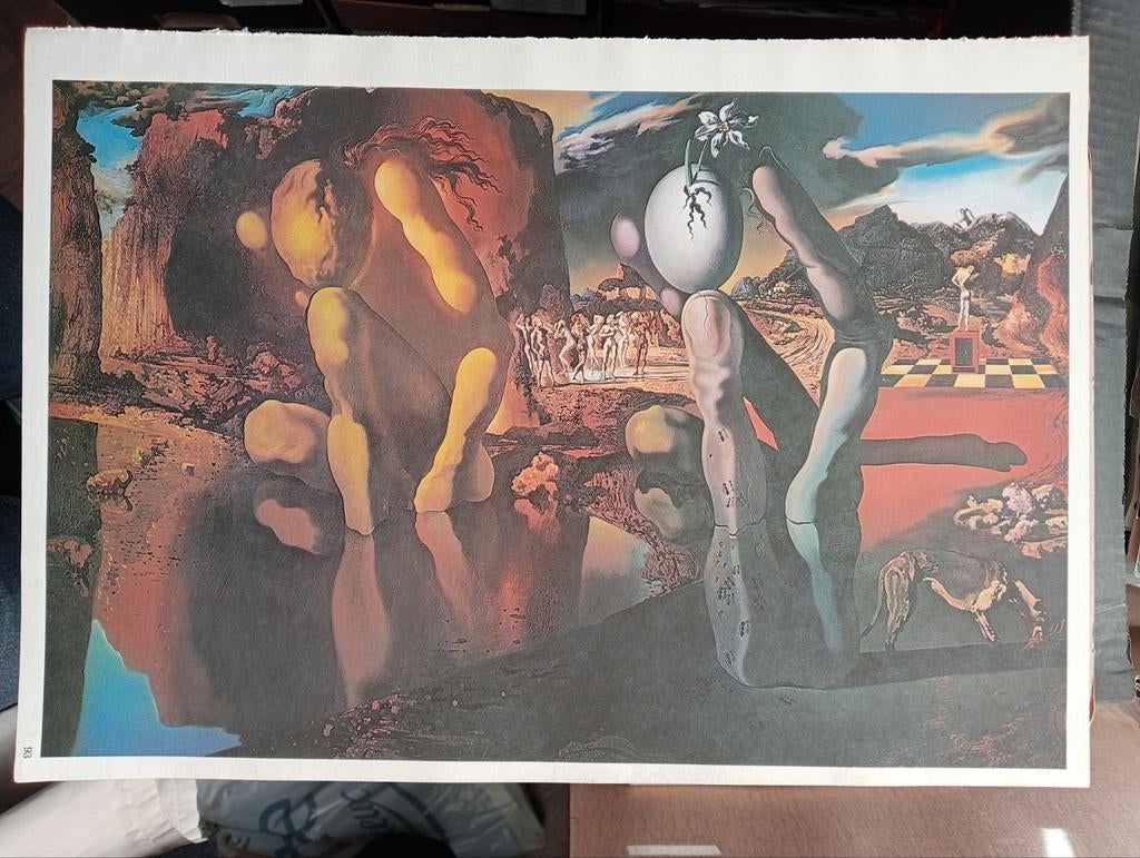 Salvador Dali print jaren 70, Ophalen of Verzenden