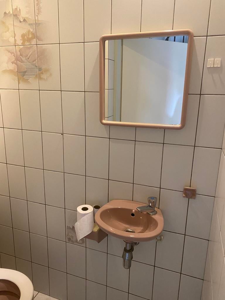 Vintage roze wc set, Ophalen, Minder dan 50 cm, Gebruikt, Minder dan 25 cm