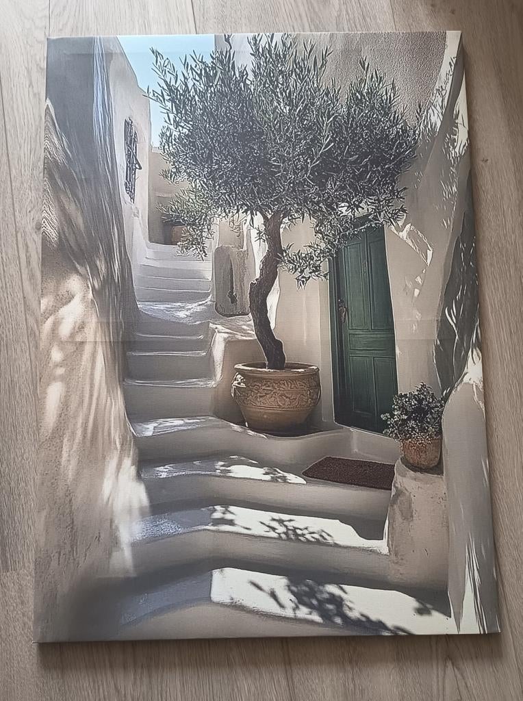 Canvas olijfboom 70x50cm - Af te halen in Rotterdam, Ophalen, 50 tot 75 cm, 50 tot 75 cm, Print