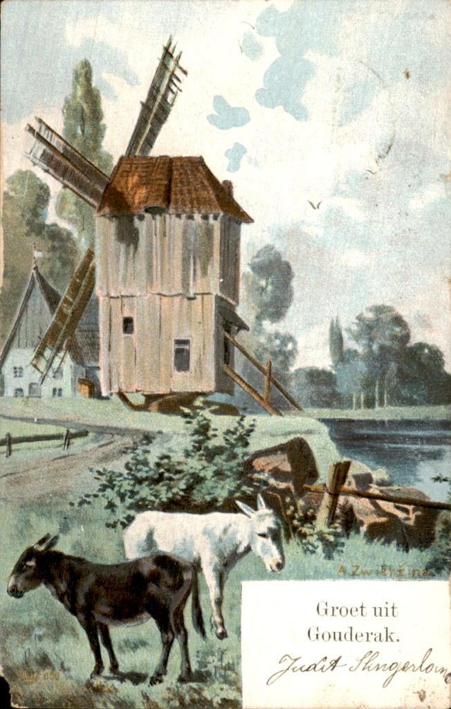 Gouderak - Molen - Ezels, Ophalen of Verzenden, Voor 1920, Gelopen, Zuid-Holland