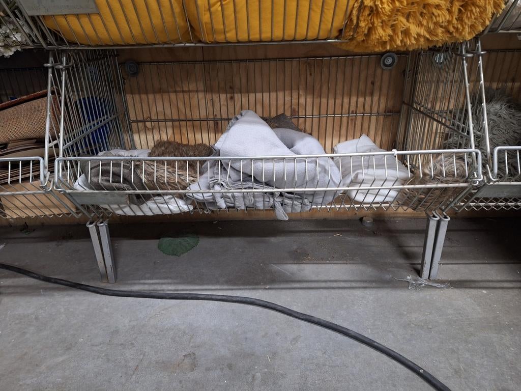 Draadmand 50x, Ophalen, Gebruikt, Overige kleuren, Rechthoekig