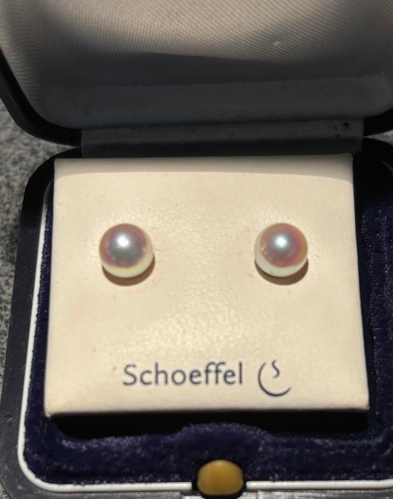 Gouden oorknop met Schoeffel parel AAA kwaliteit., Nieuw, Ophalen of Verzenden, Met edelsteen, Knopjes of Stekers