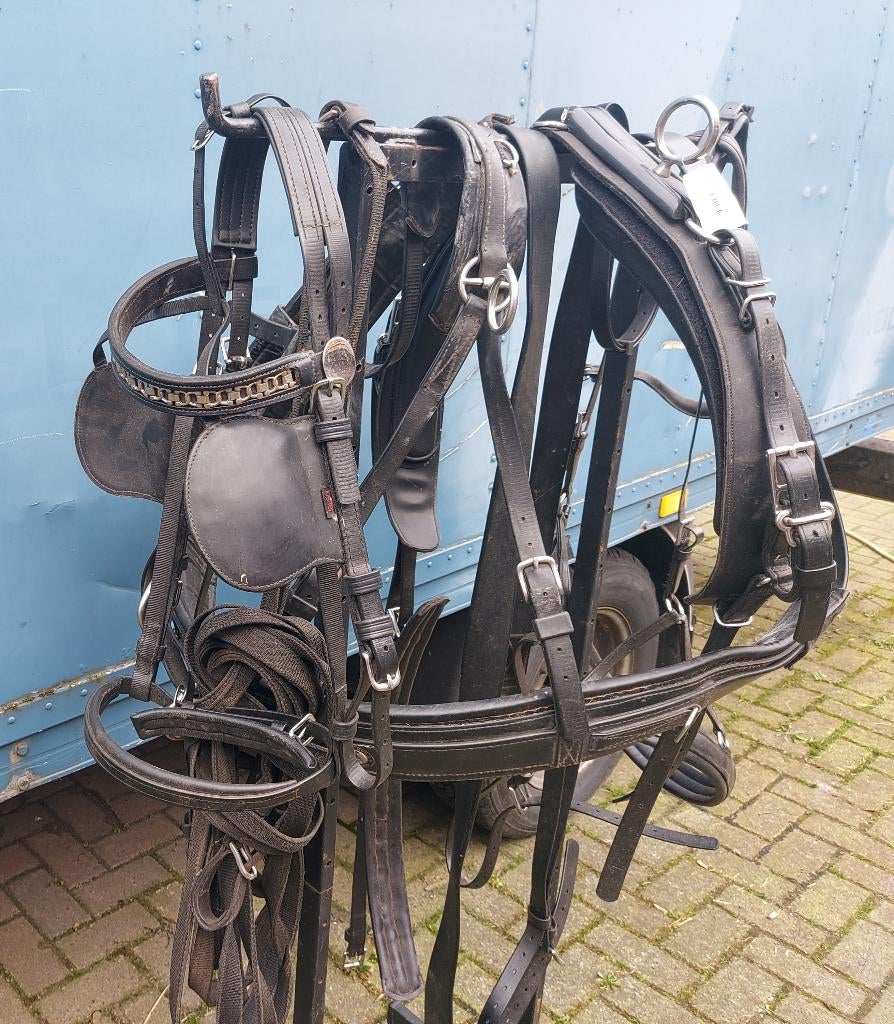 gebruikt Kieffer tuig full, Ophalen of Verzenden, Zo goed als nieuw, Overige soorten