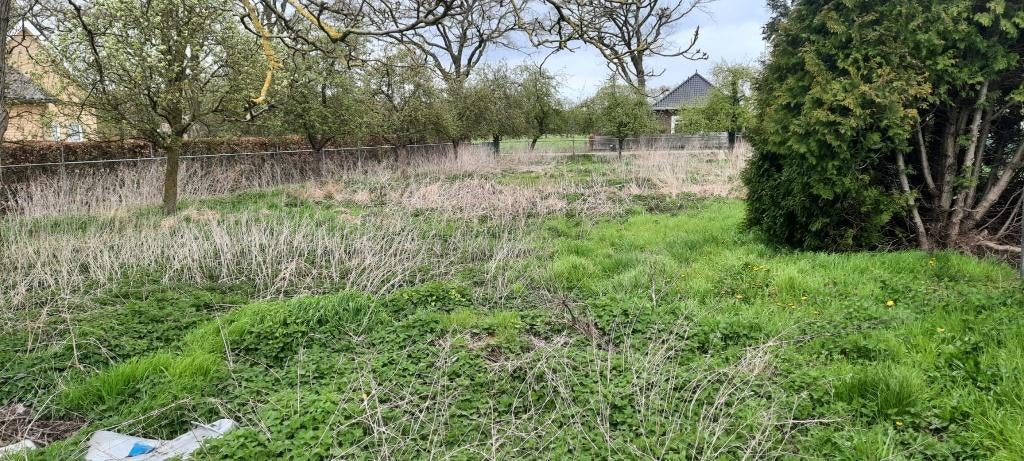 weidegang - weiland - hobbyweide - grond om te tuinieren, Weidegang