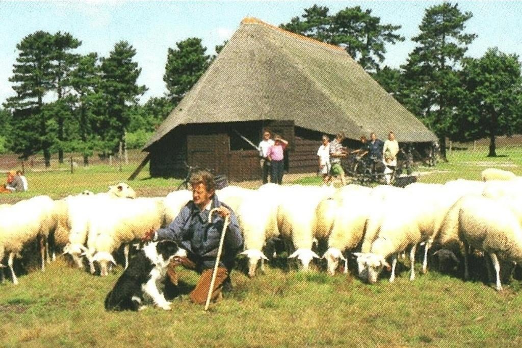802276 Epe 80+ Gld Gelopen met Postzegel, Ophalen of Verzenden, 1980 tot heden, Gelopen, Gelderland