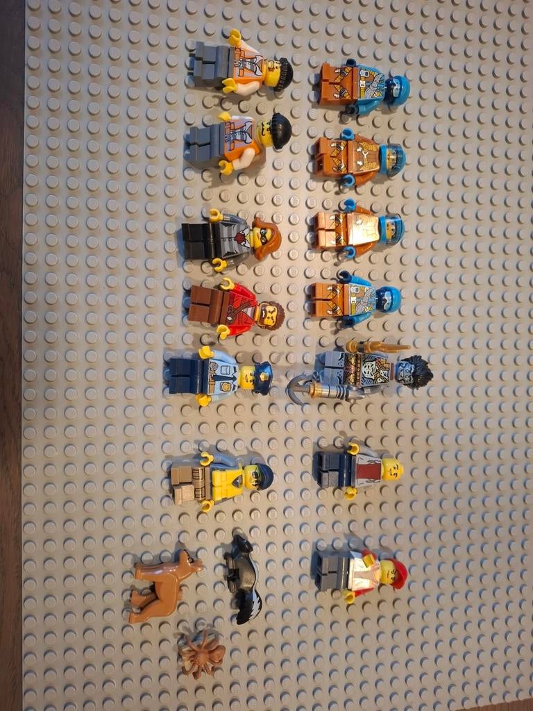 Lego minifiguren en accessoires, Ophalen of Verzenden, Gebruikt