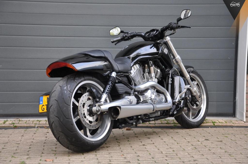 Harley Davidson VRSCF V-ROD MUSCLE 5HD 10800 kilometers! - foto 3