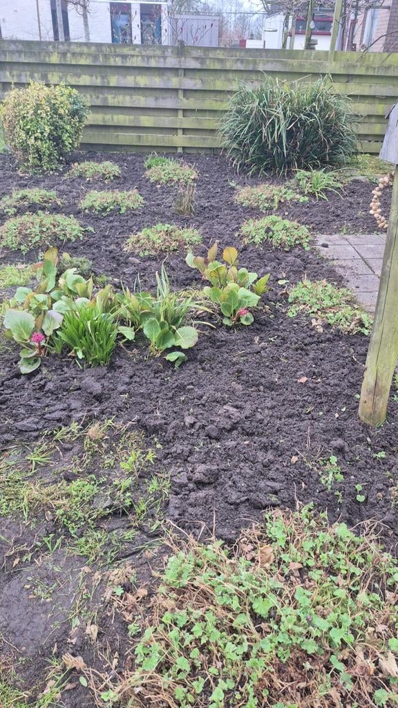 Tuinman aangeboden, Vacatures, Overige vormen