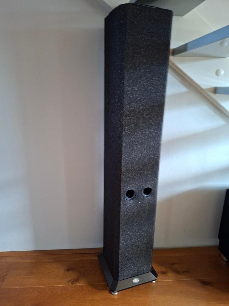 BNS Evolution  in prijs verlaagd., Gebruikt, 120 watt of meer, Front, Rear of Stereo speakers, Ophalen