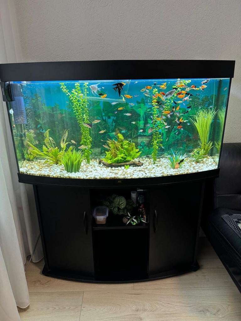 Te koop mooi Aquarium, Ophalen of Verzenden, Zo goed als nieuw, Gevuld zoetwateraquarium