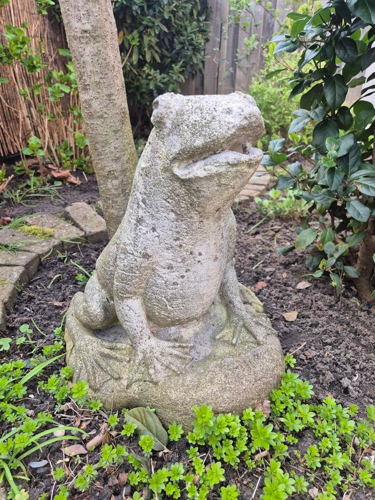 Grote betonnen kikker voor in de tuin, Tuin en Terras, Ophalen