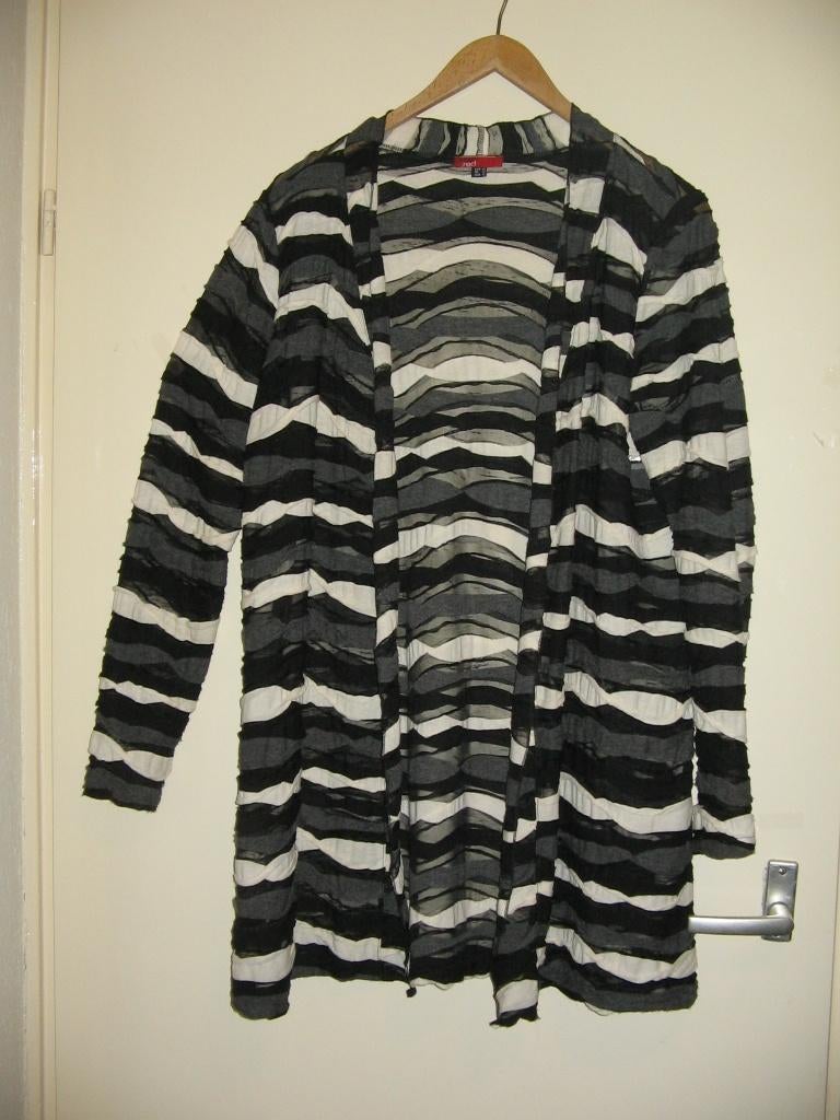 Zomers vest  maat 46-48 van X-Two RED, X-Two, Overige kleuren, Trui of Vest, Ophalen of Verzenden