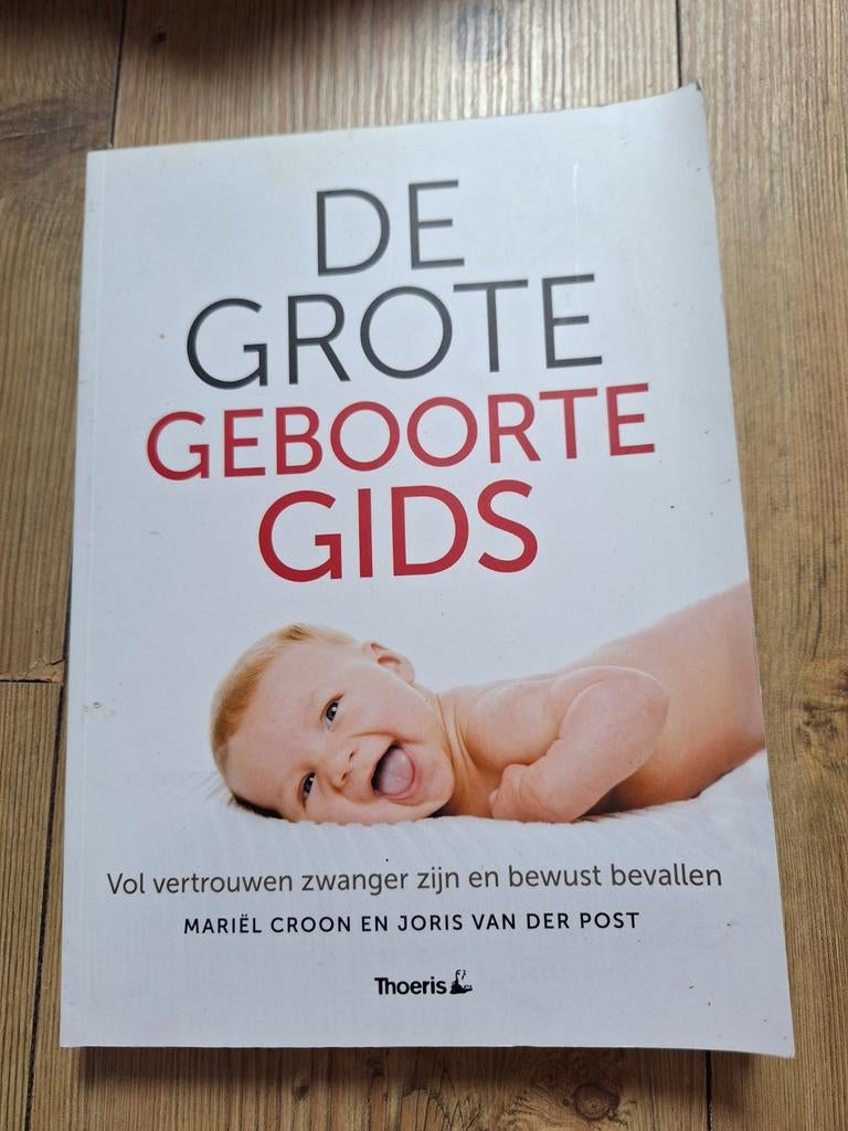 De Grote Geboorte Gids: Zwangerschap en Bevalling, Boeken, Ophalen of Verzenden, Zo goed als nieuw, Zwangerschap en Bevalling