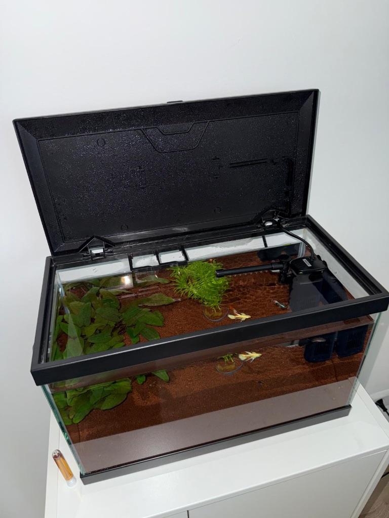 Aquarium met deksel, Dieren en Toebehoren, Vissen | Aquaria en Toebehoren, Ophalen, Zo goed als nieuw, Leeg aquarium