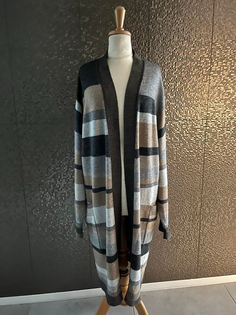 Repeat Vest Silver Edition - Maat 44, Kleding | Dames, Truien en Vesten, Ophalen of Verzenden, Zo goed als nieuw, Maat 42/44 (L)