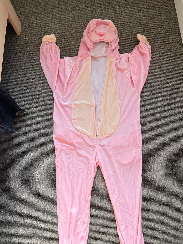 Varkenskostuum maat 140, Ophalen of Verzenden, Zo goed als nieuw, 134 t/m 140, Jongen of Meisje