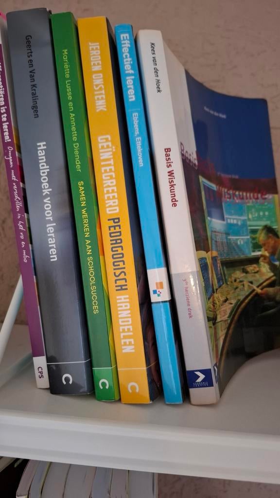 Literatuur en Wiskunde Lerarenopleiding Boeken, Boeken, Studieboeken en Cursussen, Gelezen, HBO, Ophalen of Verzenden