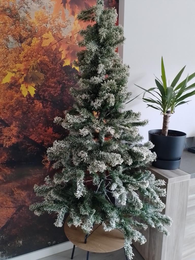 Kunstkerstboom frosted green, Ophalen