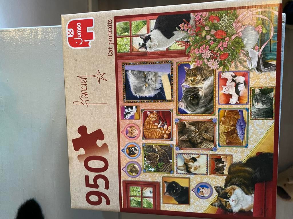 2 puzzels. Katten en De Nachtwacht, Hobby en Vrije tijd, Denksport en Puzzels, Ophalen of Verzenden, 500 t/m 1500 stukjes, Nieuw