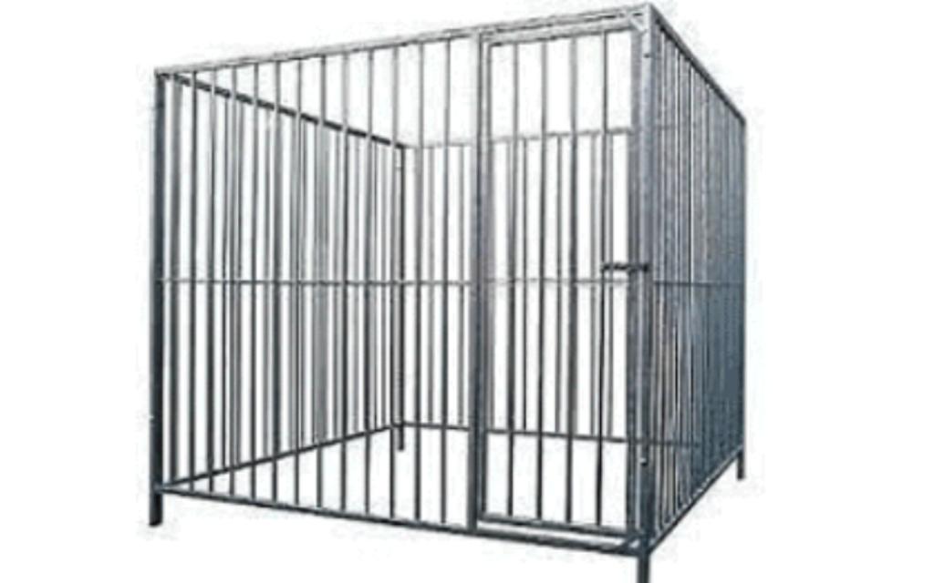 Kennel hondenren hondenverblijf kennel met dak op maat 🐕🐩�, Ophalen, Hondenkennel, 110 cm of meer, 100 cm of meer