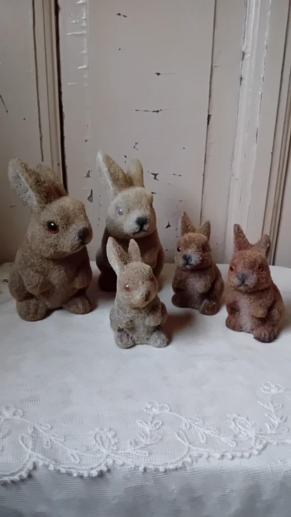 Hazen familie, Diversen, Pasen, Verzenden