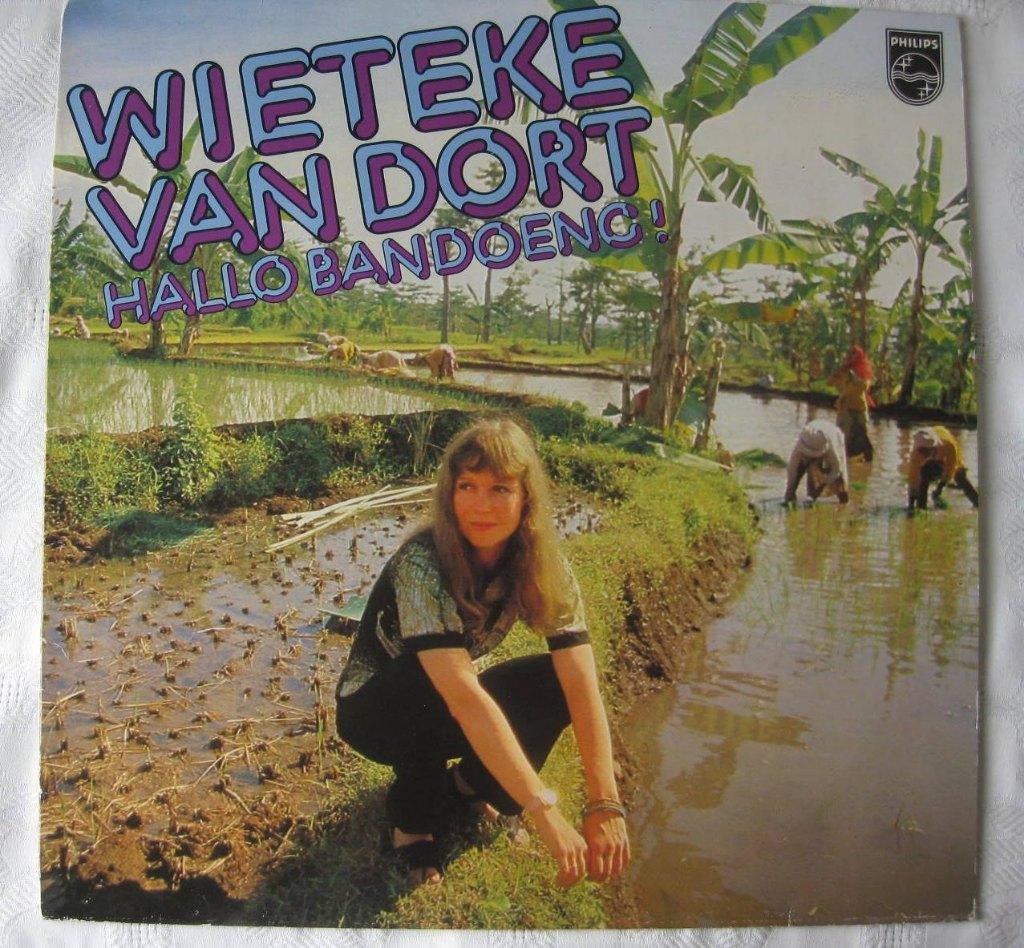LP Wieteke van Dort 1979 € 7,00, Cd's en Dvd's, Vinyl | Nederlandstalig, Ophalen of Verzenden, Zo goed als nieuw, 12 inch, Pop