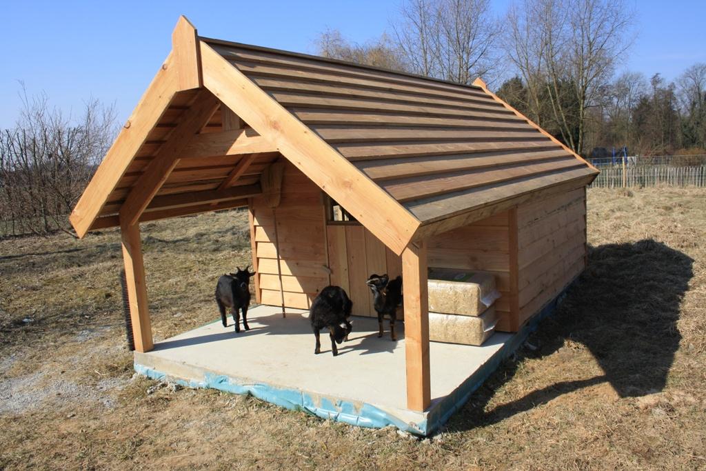 geitenhokken, Dieren en Toebehoren, Overige Dieren-accessoires, Nieuw, Ophalen of Verzenden