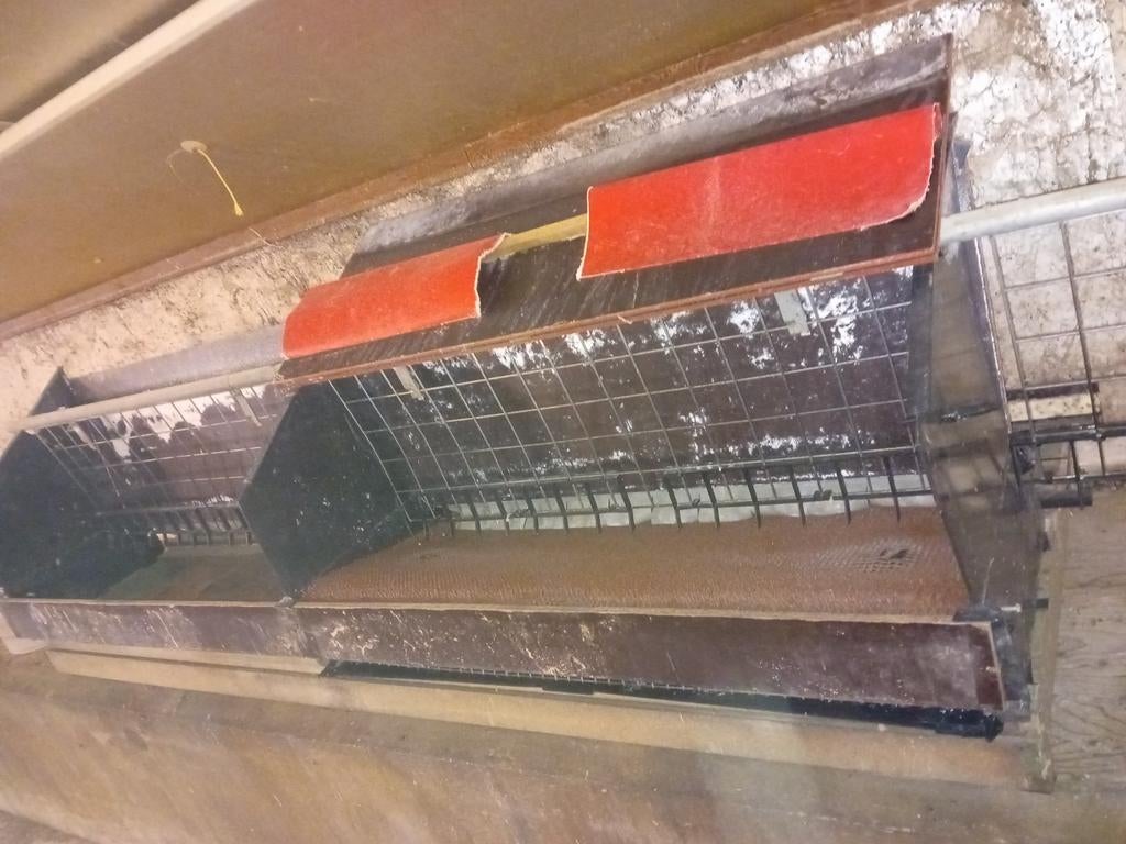 Kippen legnesten janssen, Dieren en Toebehoren, Pluimvee | Toebehoren, Ophalen